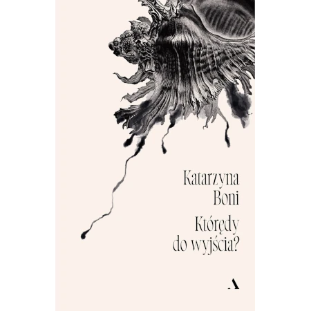 Którędy do wyjścia? - Katarzyna Boni